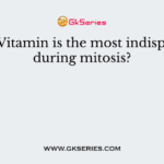 Which Vitamin is the most indispensable during mitosis?