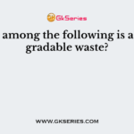 Which among the following is a biodegradable waste?