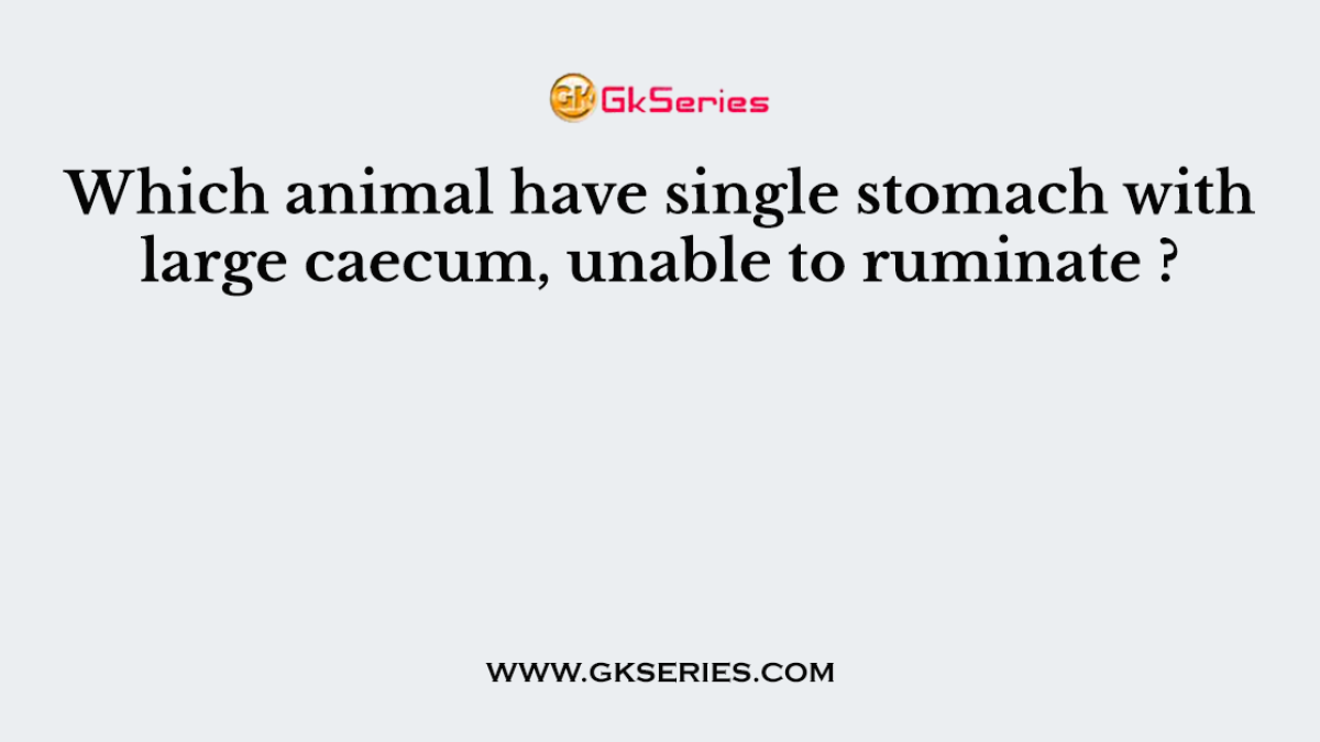 Which animal have single stomach with large caecum, unable to ruminate ?