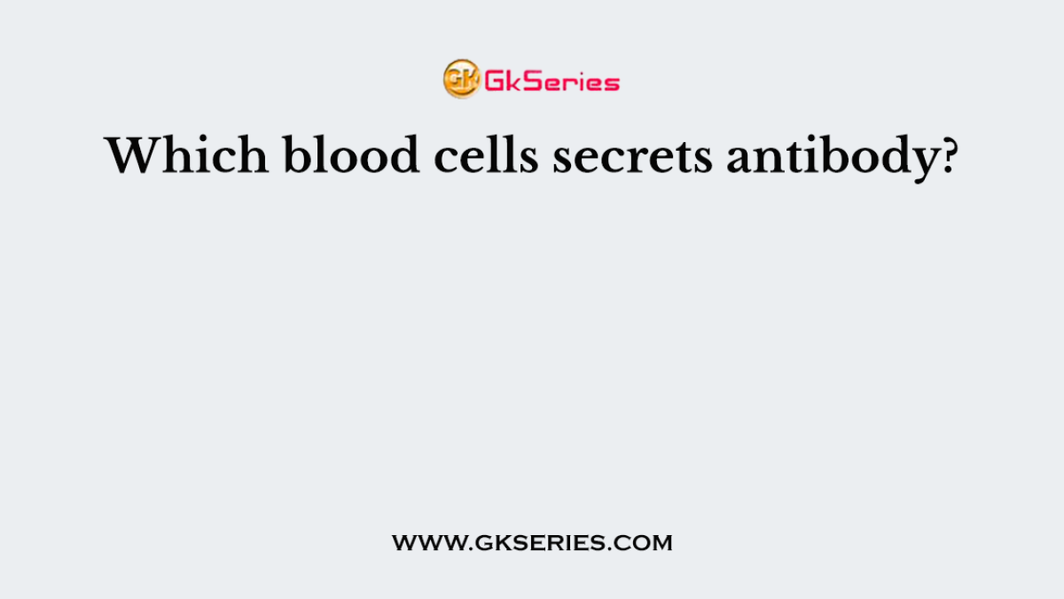 Which blood cells secrets antibody?