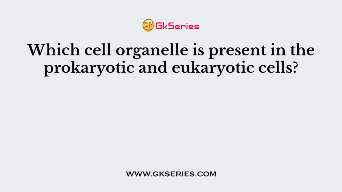 Which cell organelle is present in the prokaryotic and eukaryotic cells?