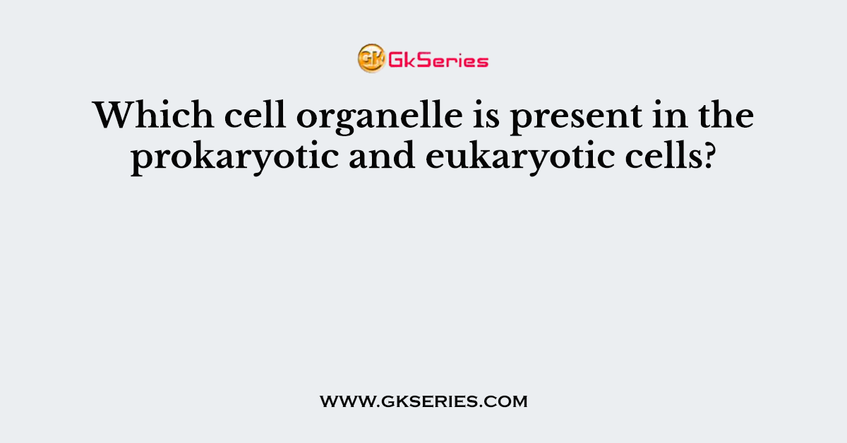 Which cell organelle is present in the prokaryotic and eukaryotic cells?