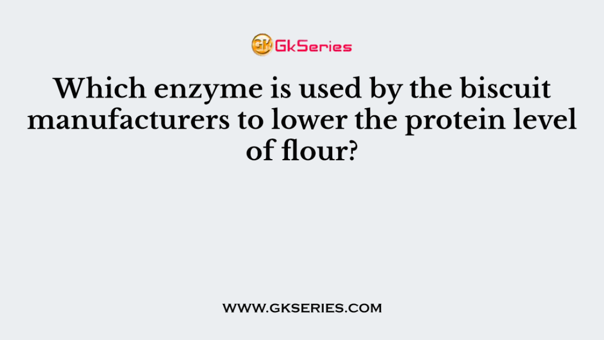 Which enzyme is used by the biscuit manufacturers to lower the protein level of flour?