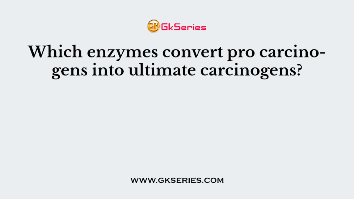 Which enzymes convert pro carcinogens into ultimate carcinogens?