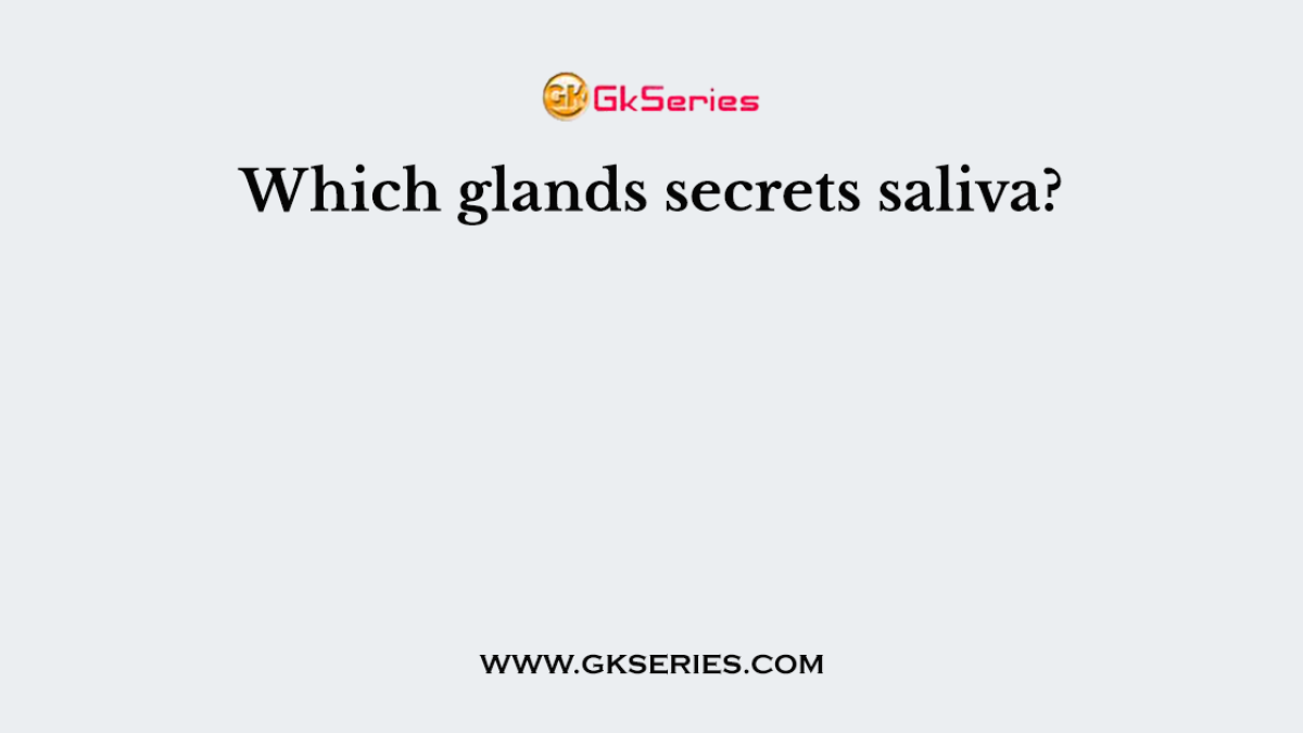 Which glands secrets saliva?