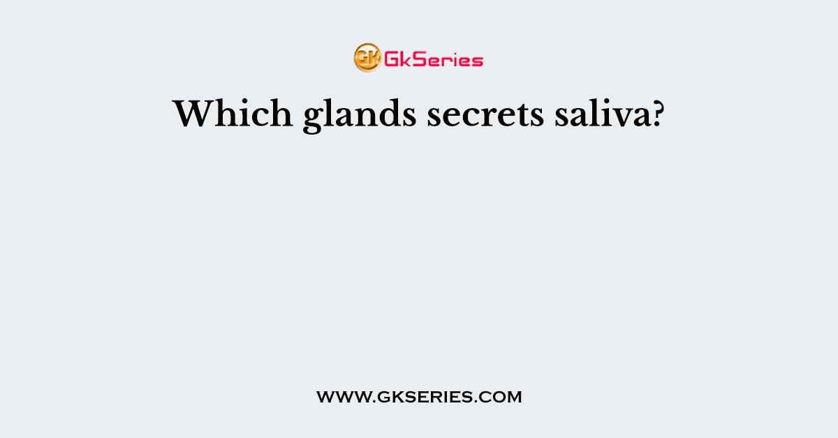Which glands secrets saliva?