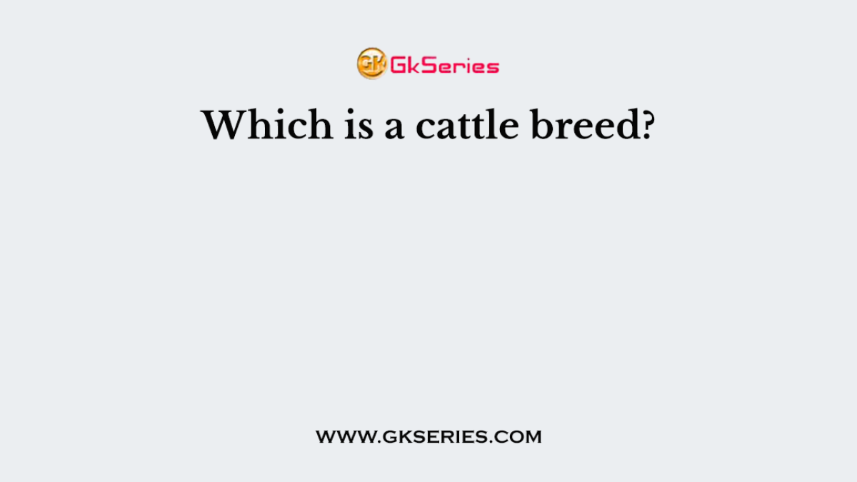Which is a cattle breed?