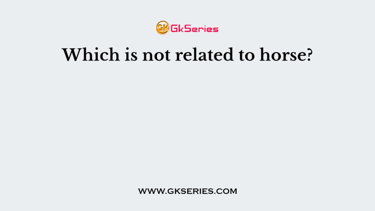 Which is not related to horse?