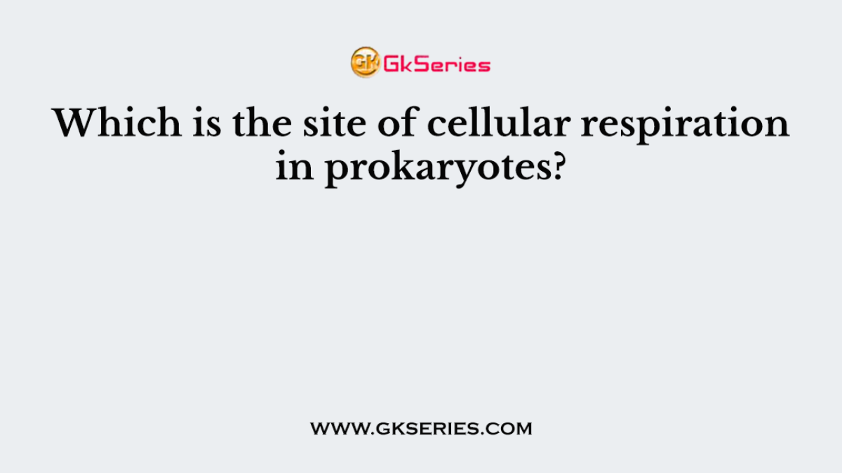 Which is the site of cellular respiration in prokaryotes?
