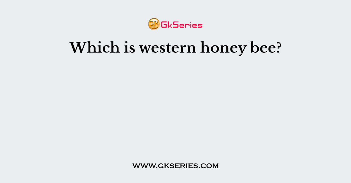 Which is western honey bee?