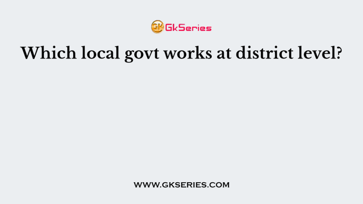 Which local govt works at district level?