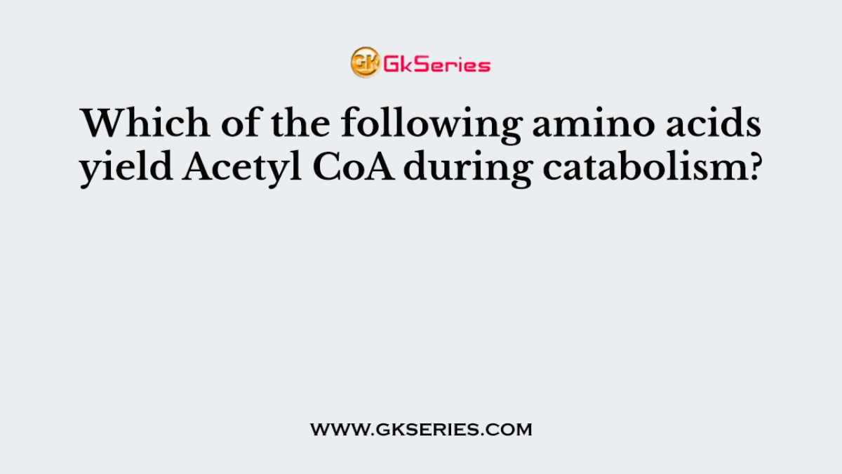 Which of the following amino acids yield Acetyl CoA during catabolism?