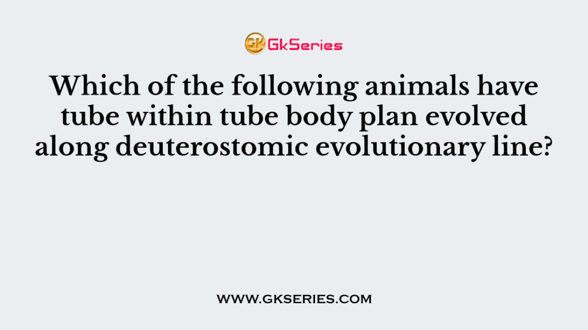 Which of the following animals have tube within tube body plan evolved along deuterostomic evolutionary line?