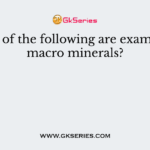Which of the following are examples of macro minerals?