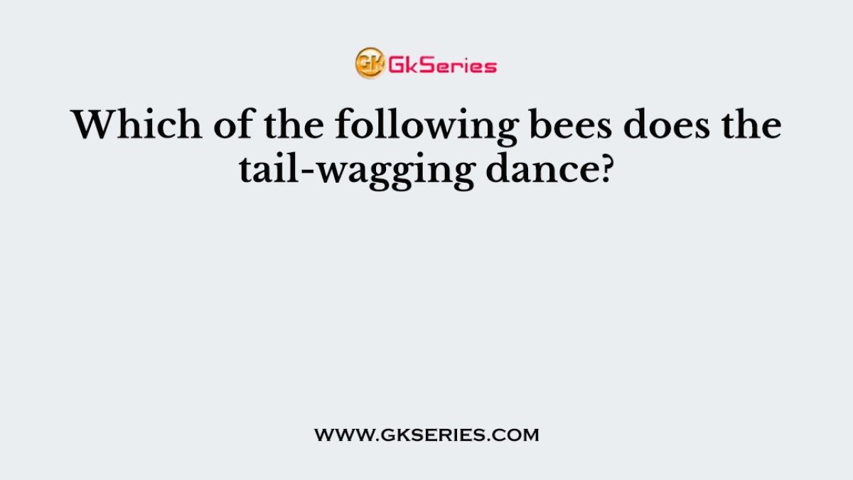Which of the following bees does the tail-wagging dance?