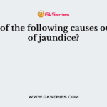 Which of the following causes outbreak of jaundice?