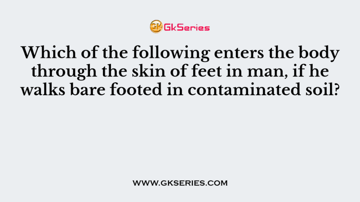 Which of the following enters the body through the skin of feet in man, if he walks bare footed in contaminated soil?