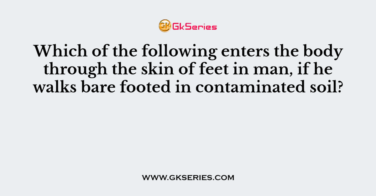 Which of the following enters the body through the skin of feet in man, if he walks bare footed in contaminated soil?