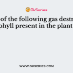 Which of the following gas destroys the chlorophyll present in the plant leaves?