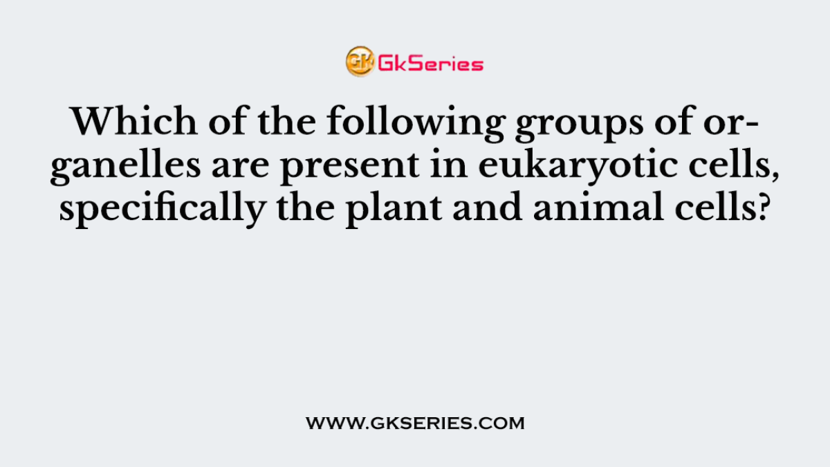 Which of the following groups of organelles are present in eukaryotic cells, specifically the plant and animal cells?