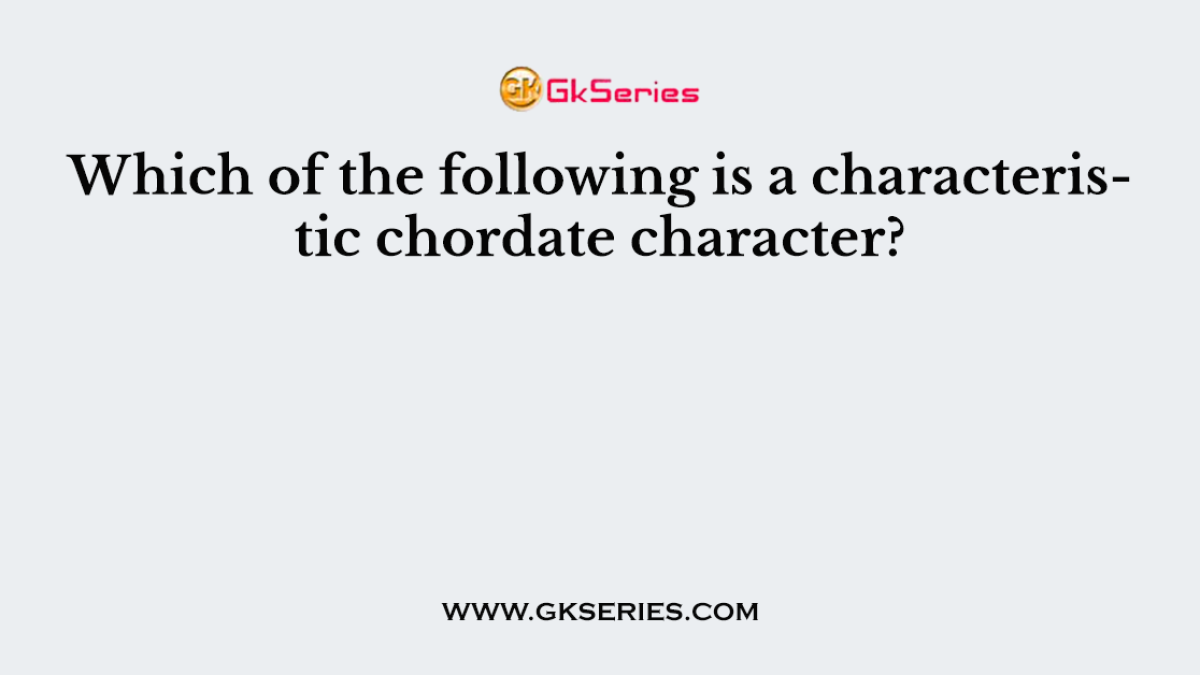 Which of the following is a characteristic chordate character?