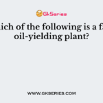 Which of the following is a fatty oil-yielding plant?