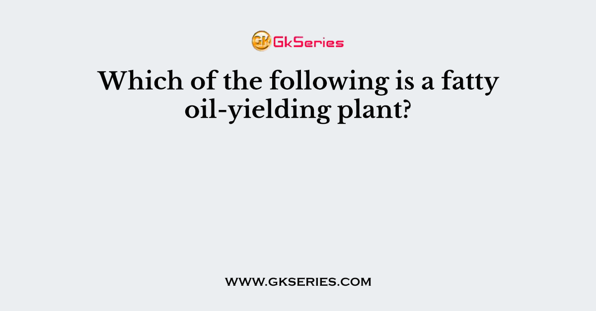 Which of the following is a fatty oil-yielding plant?