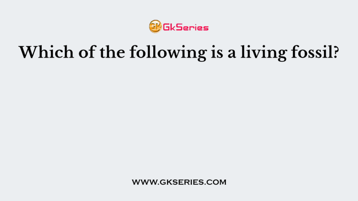 Which of the following is a living fossil?