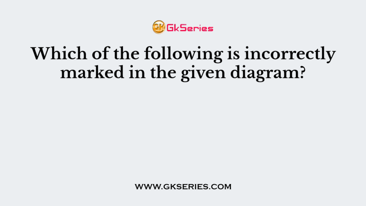 Which of the following is incorrectly marked in the given diagram?