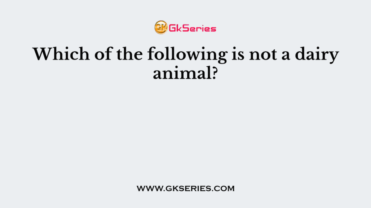 Which of the following is not a dairy animal?