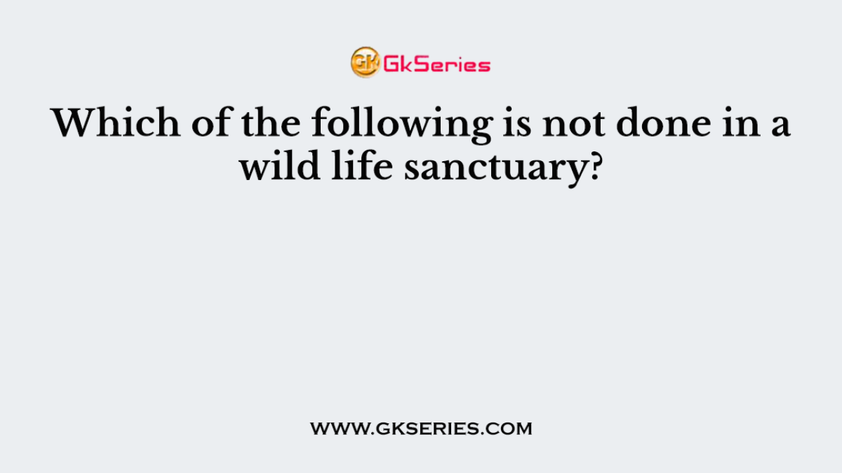 Which of the following is not done in a wild life sanctuary?