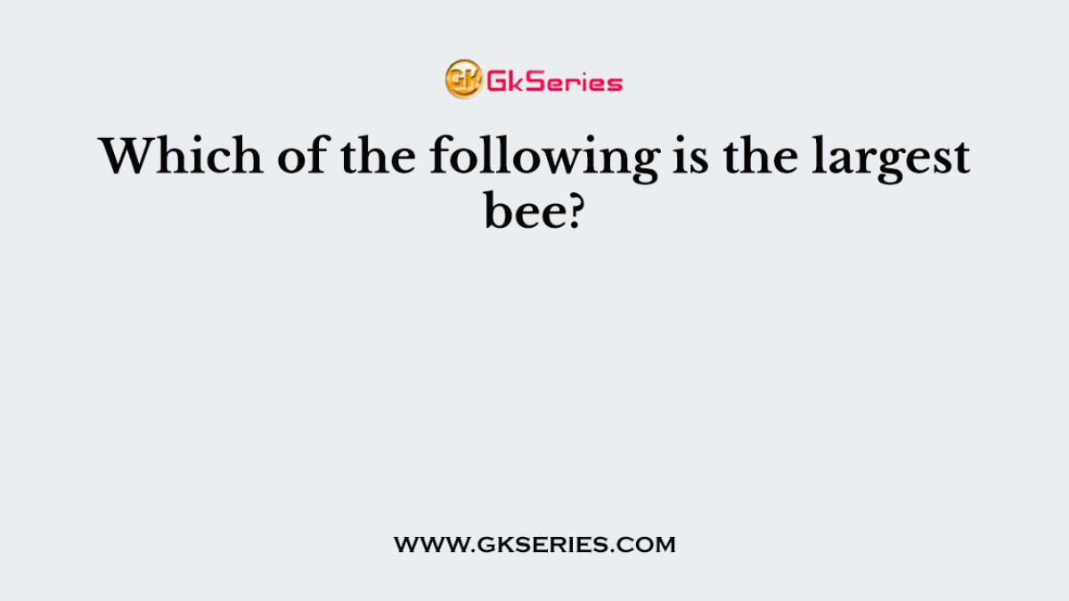 Which of the following is the largest bee?