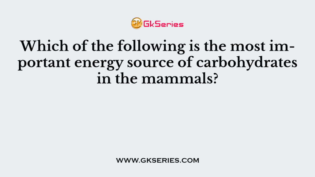 Which of the following is the most important energy source of carbohydrates in the mammals?