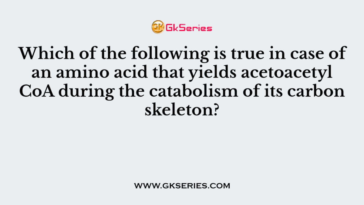 Which of the following is true in case of an amino acid that yields acetoacetyl CoA during the catabolism of its carbon skeleton?