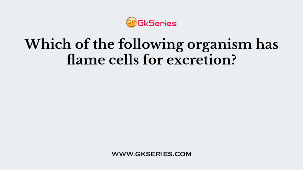 Which of the following organism has flame cells for excretion?