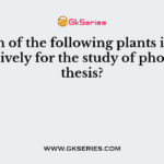 Which of the following plants is used extensively for the study of photosynthesis?