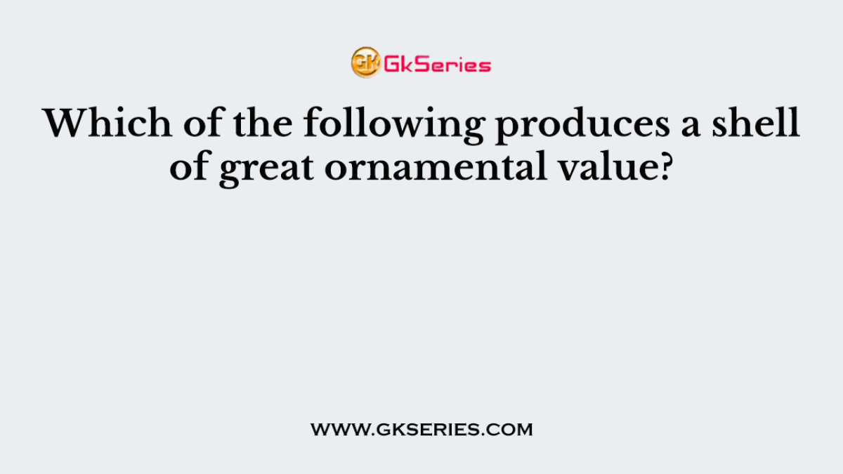 Which of the following produces a shell of great ornamental value?