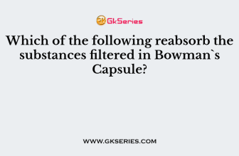 Which of the following reabsorb the substances filtered in Bowman`s Capsule?