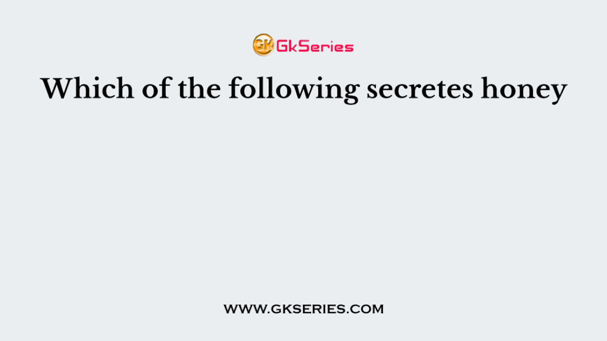 Which of the following secretes honey