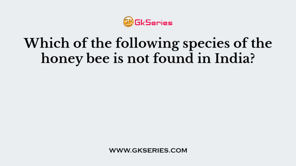 Which of the following species of the honey bee is not found in India?
