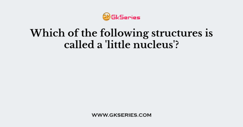Which of the following structures is called a 'little nucleus'?