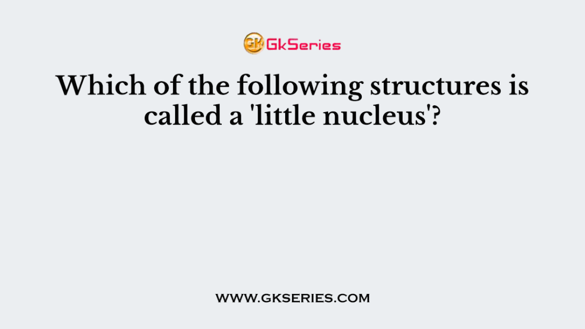 Which of the following structures is called a 'little nucleus'?