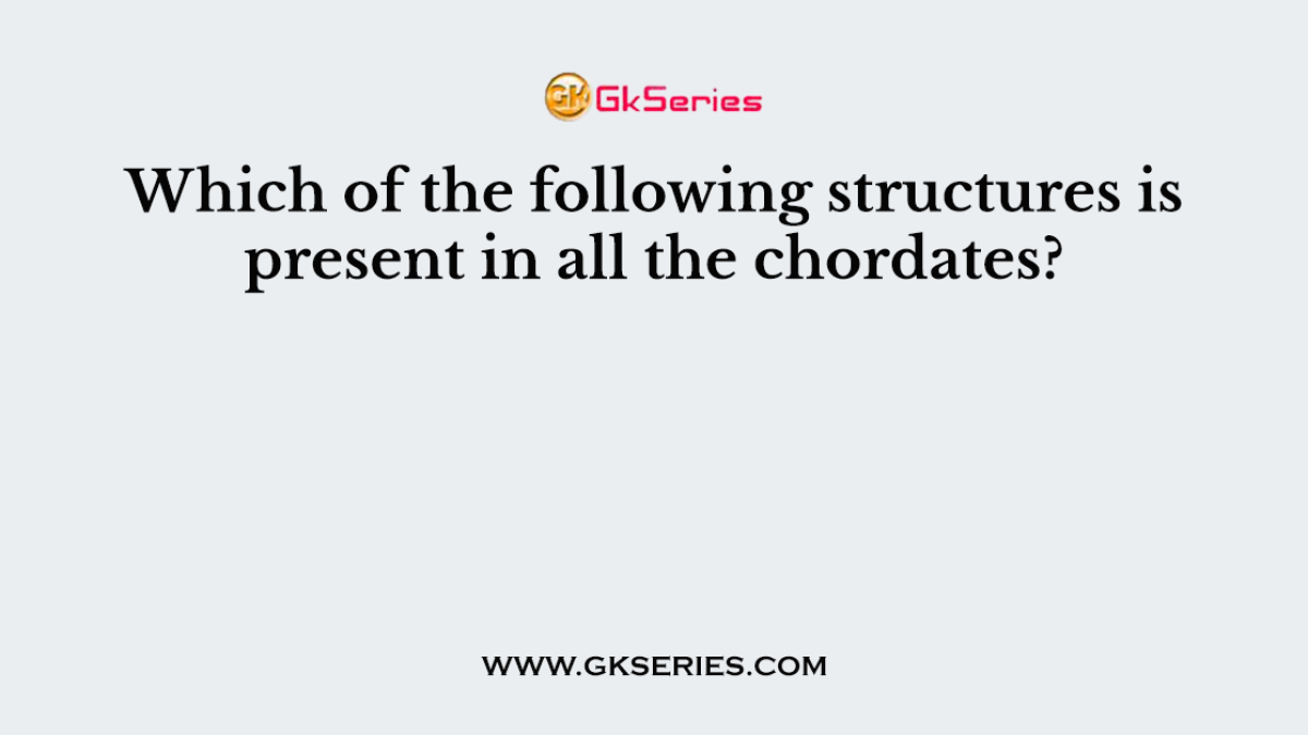Which of the following structures is present in all the chordates?