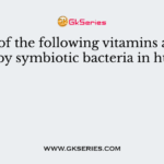 Which of the following vitamins are produced by symbiotic bacteria in humans?