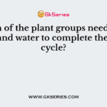 Which of the plant groups needs both land and water to complete their life cycle?