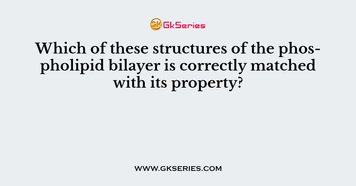 Which of these structures of the phospholipid bilayer is correctly matched with its property?