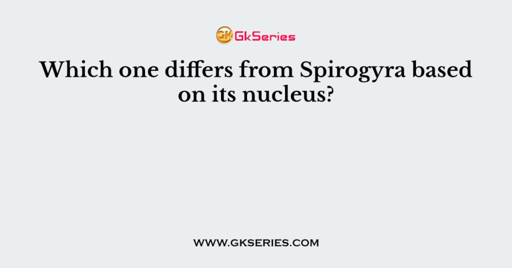 Which one differs from Spirogyra based on its nucleus?