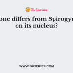 Which one differs from Spirogyra based on its nucleus?