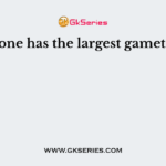 Which one has the largest gametophyte?