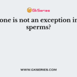 Which one is not an exception in angiosperms?